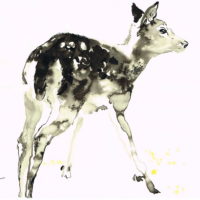 Bambi, muste paperille,, 2017.