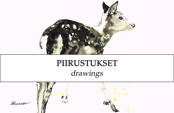 piirustukset, drawings