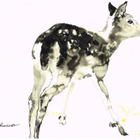 Price: 80 € Bambi, stamp signed in white passport, 30x40 cm.